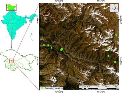 Floristic composition, life history traits and phytogeographic distribution of forest vegetation in the Western Himalaya